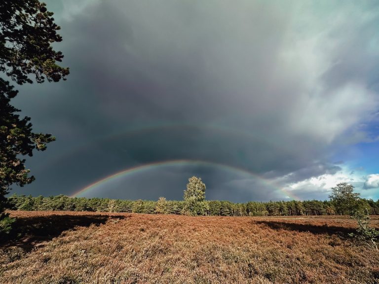 Doppelter Regenbogen über Waldrand in der Südheide