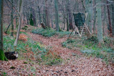 Hochsitz für Jagd im Wald